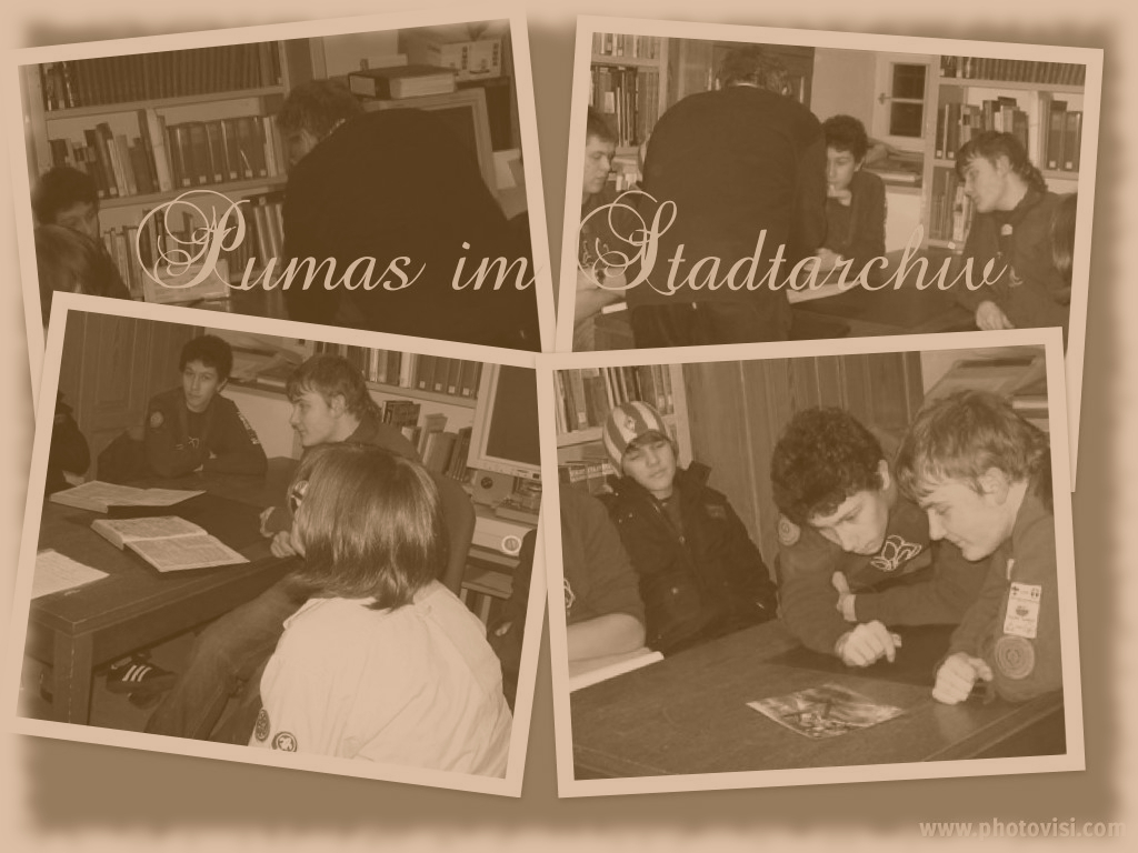 Photocollage Stadtarchiv Pumas 2011