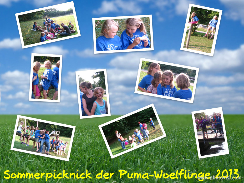 Picknick Pumas 2013